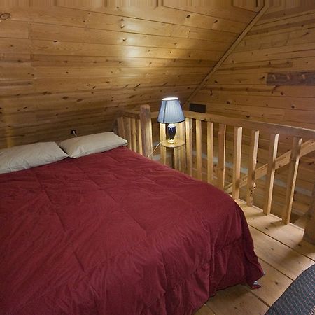Galena Log Cabin Getaway Номер фото