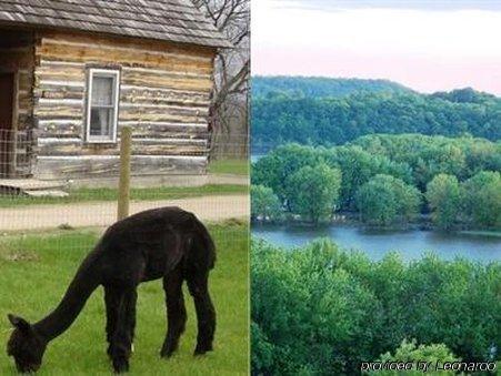 Galena Log Cabin Getaway Екстер'єр фото